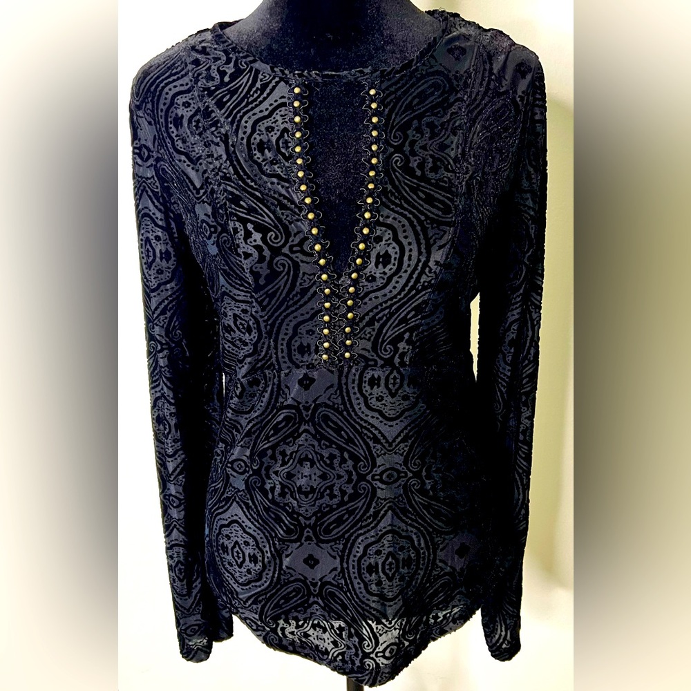 Sheer and velvet long sleeved shirt by free people. Size medium.